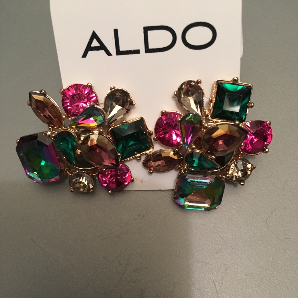 ❤️Aldo Crystal Earrings